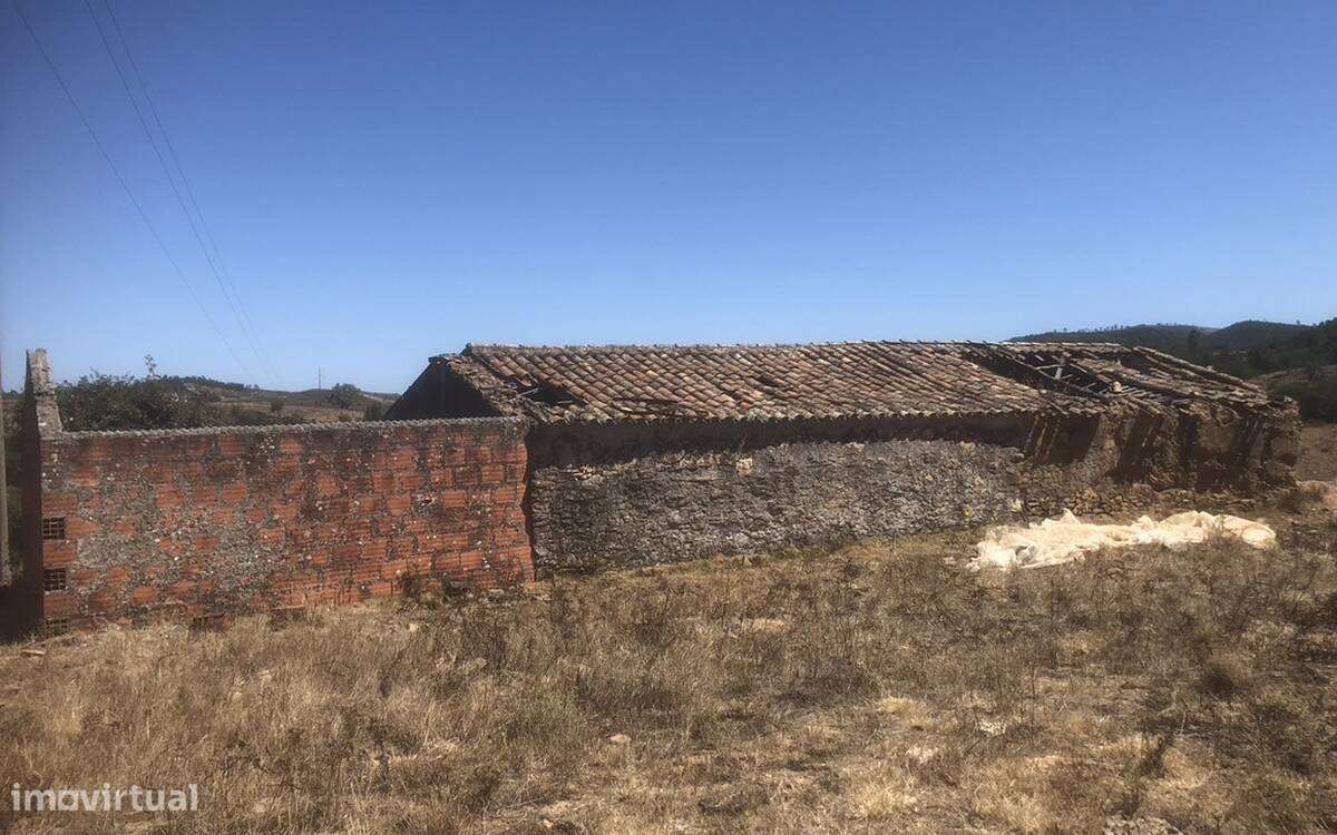Quinta de grandes dimensões com potencial de construção - Grande imagem: 4/13