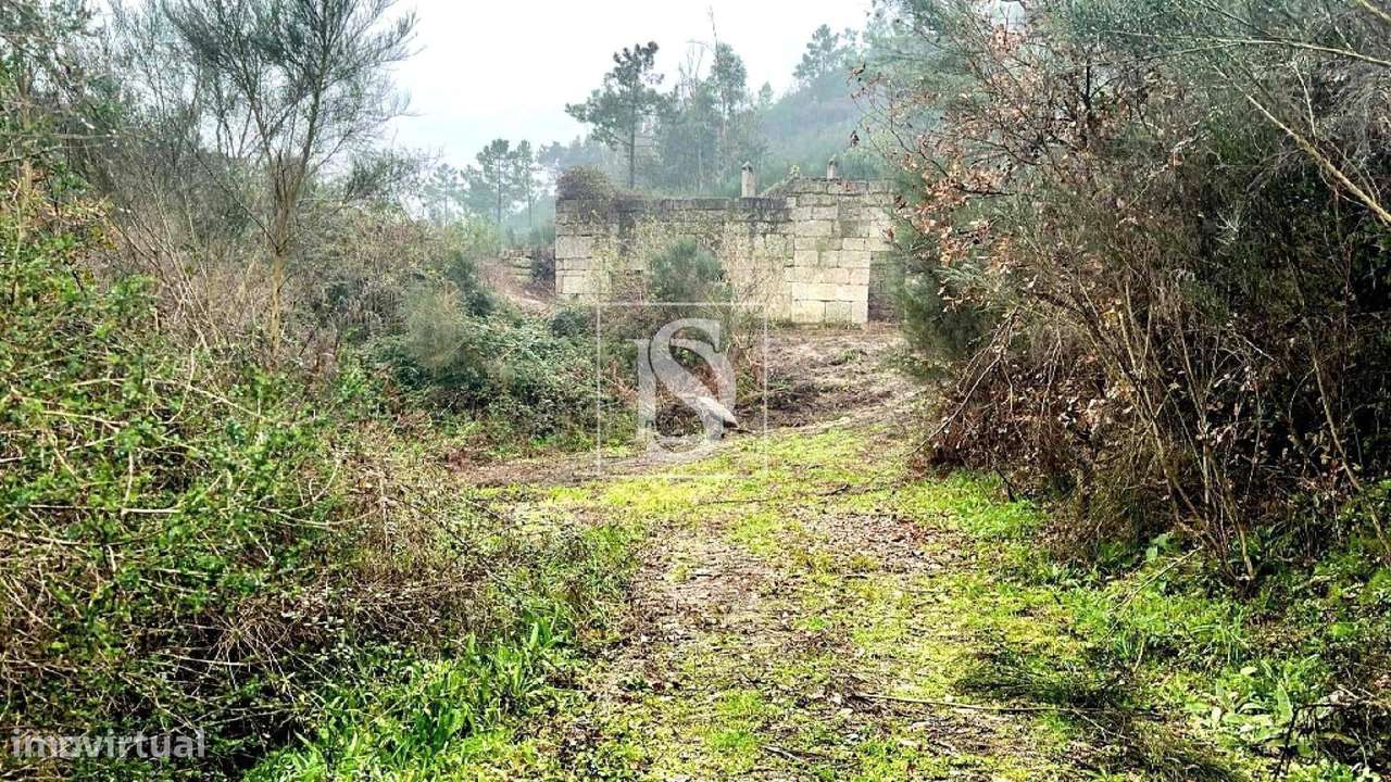 Quinta em Bustelo - Amarante - Grande imagem: 4/15