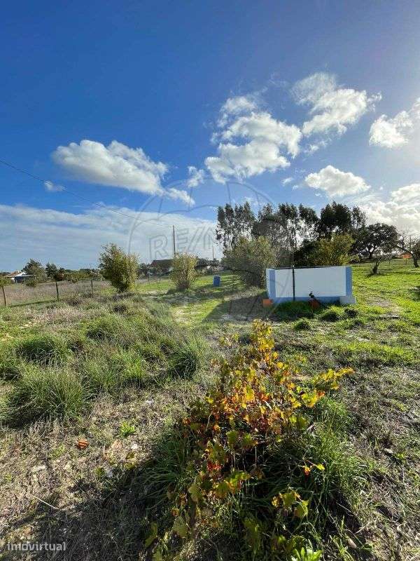 Quinta T4 para venda - Grande imagem: 5/38