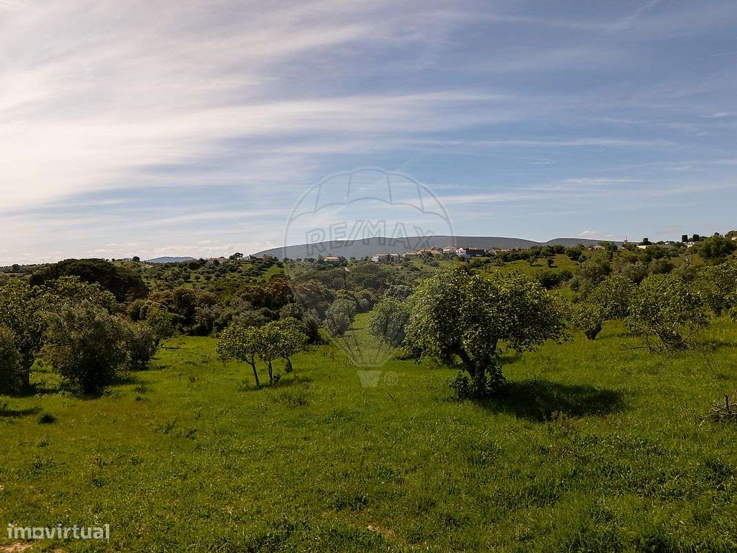 Terreno  para venda-4