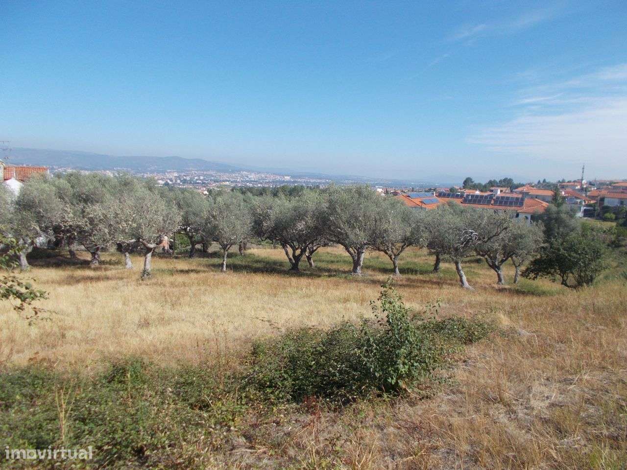 Chaves Quinta Vista Panorâmica-6