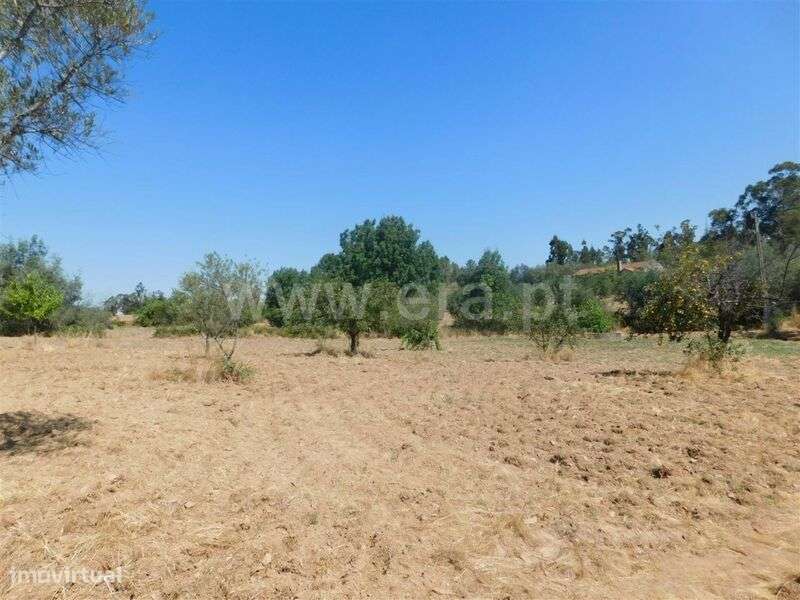 Quinta / Fundão, Quintas da Torre - Grande imagem: 5/7