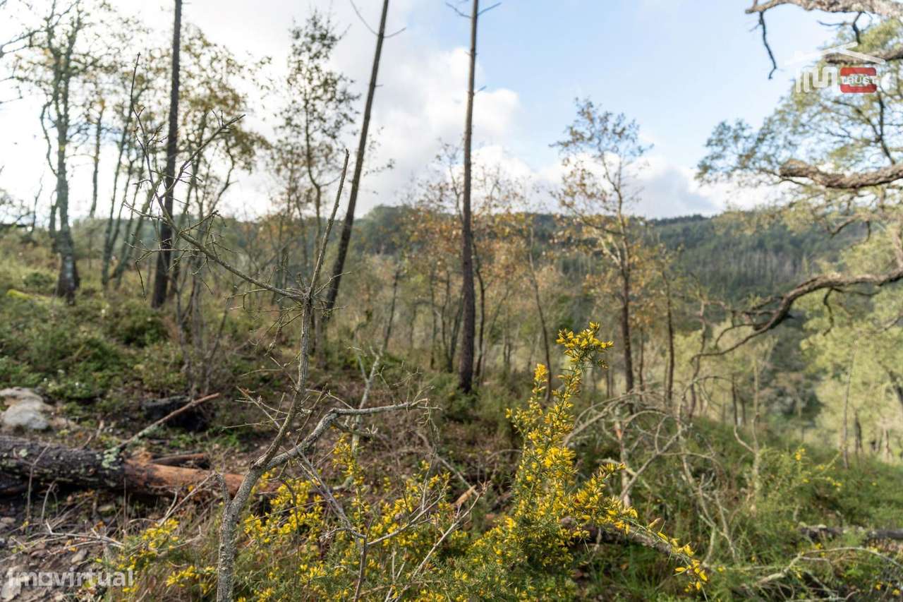 Terreno Rústico, Chainça - Grande imagem: 5/9
