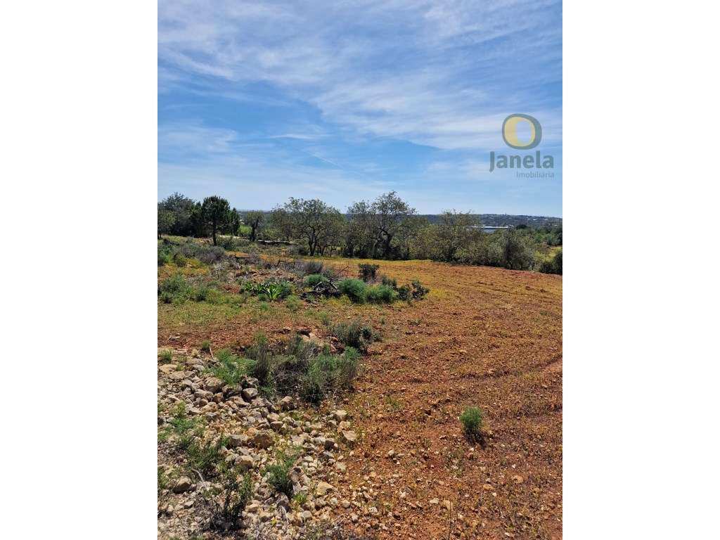 Terreno Rústico com vista mar - Grande imagem: 4/15