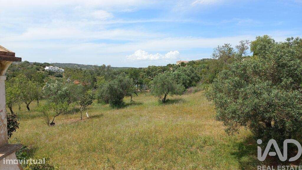 Terreno em Santa Bárbara de Nexe - Grande imagem: 3/6