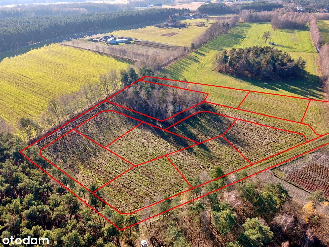 Działki budowlane Nowa Plewnia, gm. Ceków-Kolonia - Pełny obrazek: 4/9