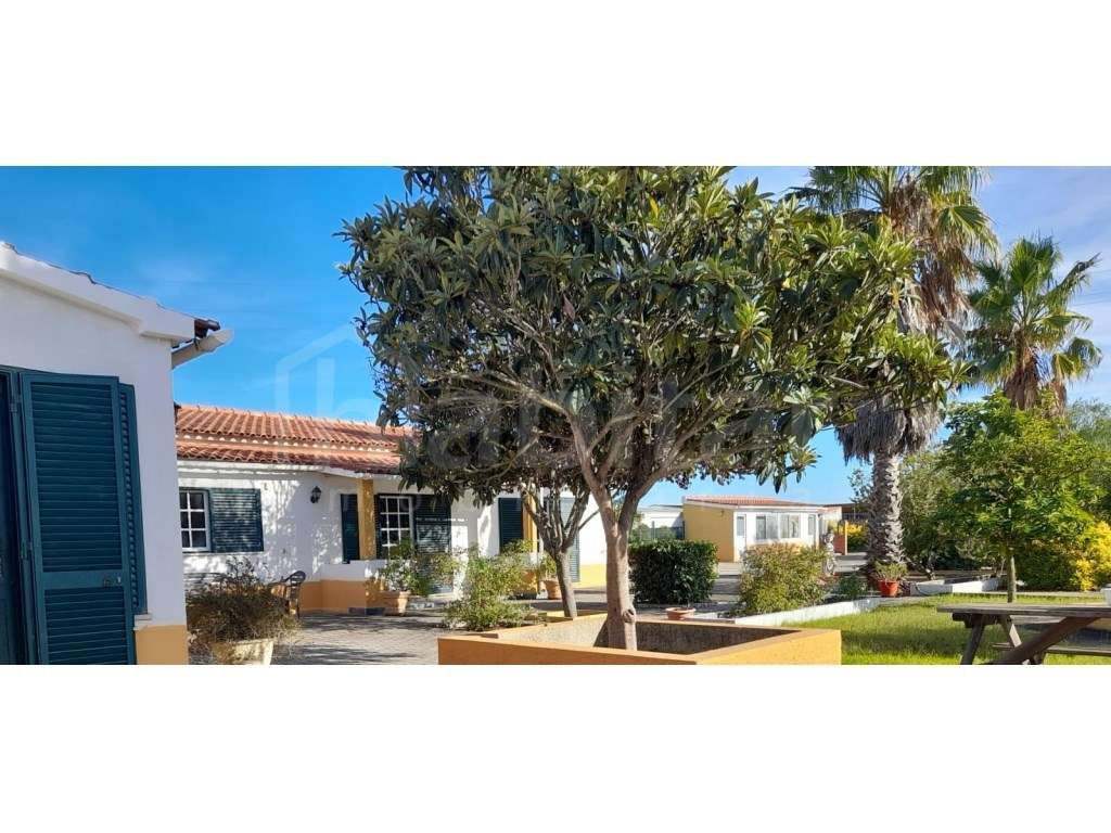 O Refúgio Perfeito: Quinta T3 com 5.000m² nos Foros de Salvaterra - Grande imagem: 2/21