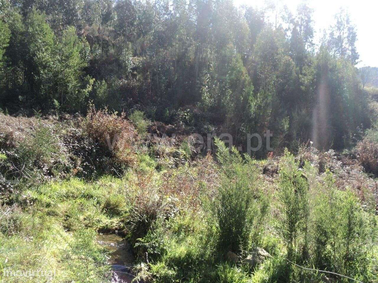 Terreno / Marco de Canaveses, Sande e São Lourenço - Grande imagem: 5/6