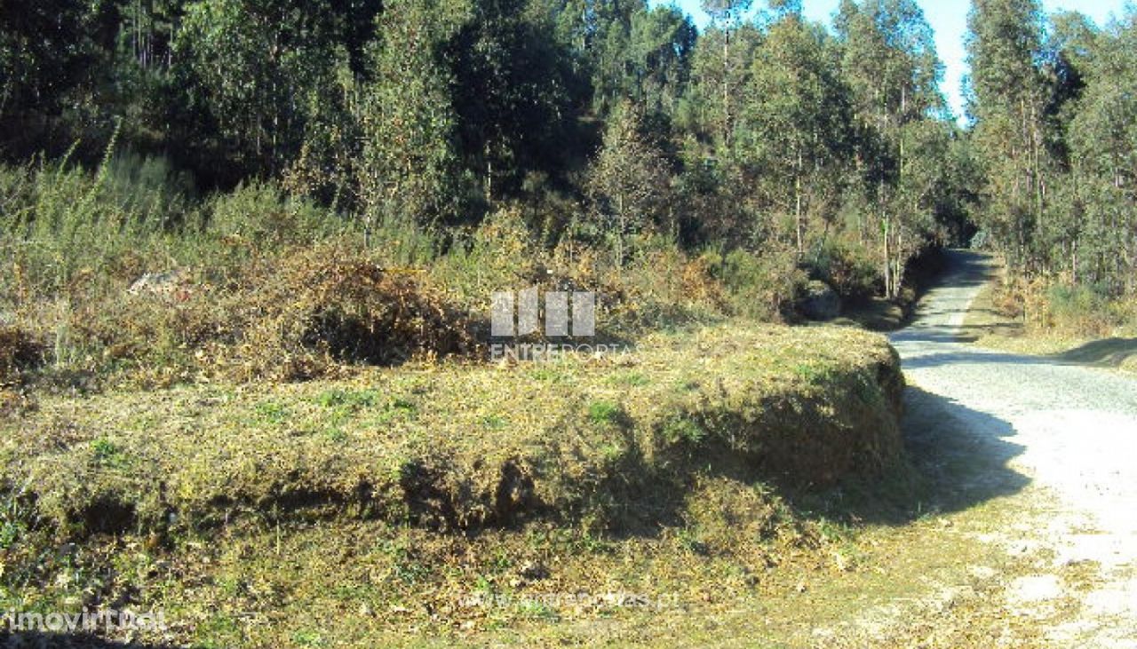 Venda Terreno, Soalhães, Marco de Canaveses