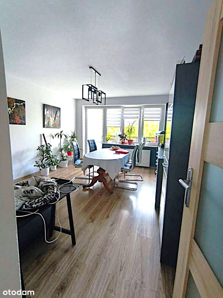 2 pokoje na I piętrze z balkonem i parkingiem w niskim bloku - BIELANY-1