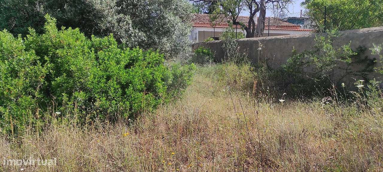 Terreno  para venda - Grande imagem: 4/12