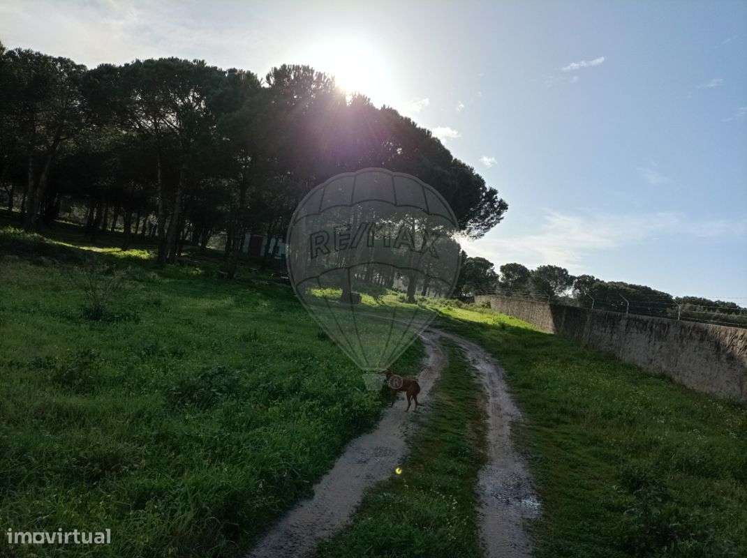 Terreno  para venda - Grande imagem: 3/5