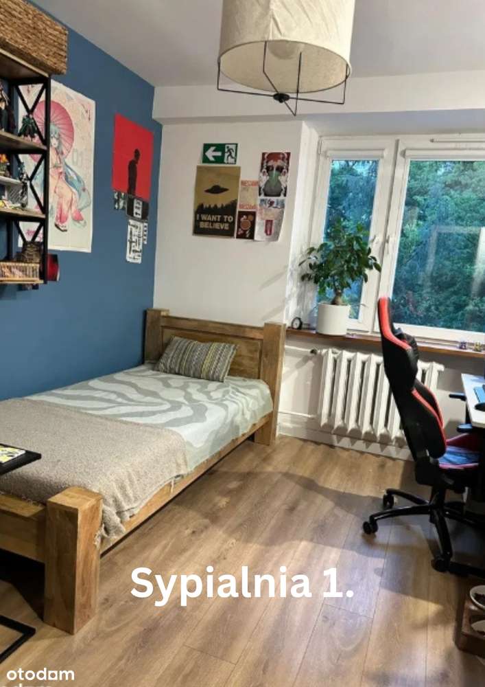 9 min.do tramwaju - Pełny obrazek: 4/17