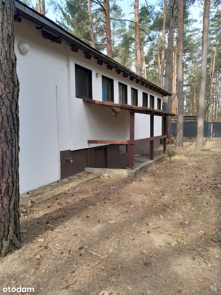 Łacha - dom 80m2 na działce 1400m2-2
