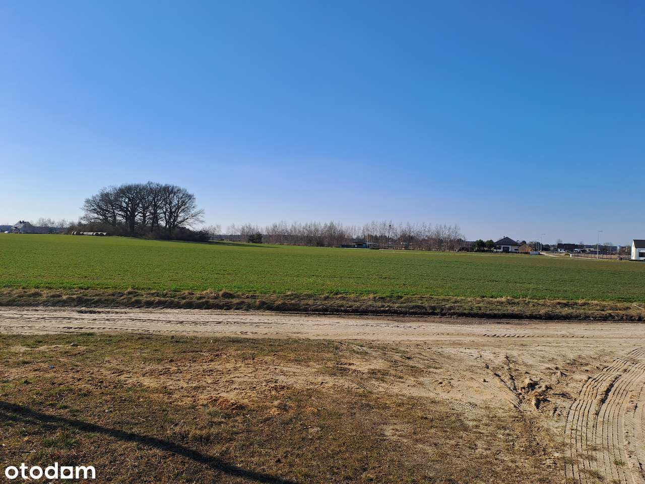 Radzewo, z miejscowym planem od 810 m² do 1076 m² - Pełny obrazek: 4/4