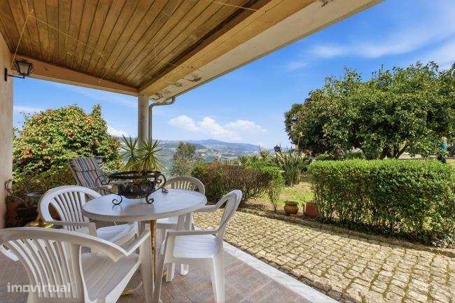 Quinta, para venda, Resende - Anreade e São Romão de Aregos - Grande imagem: 5/12