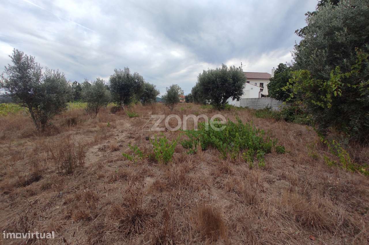 Lote Urbanizável no Vale do Dão – Oportunidade em Penalva do Castel... - Grande imagem: 4/20