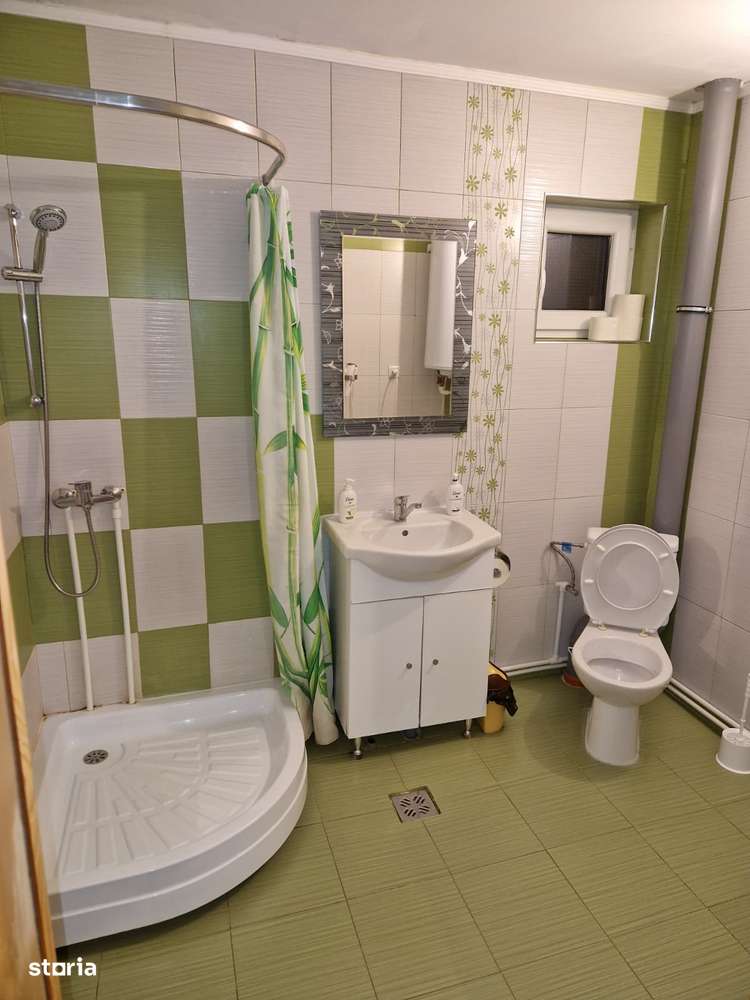 Casa de vanzare in Pianu - Strungari - Imagine principală: 5/12
