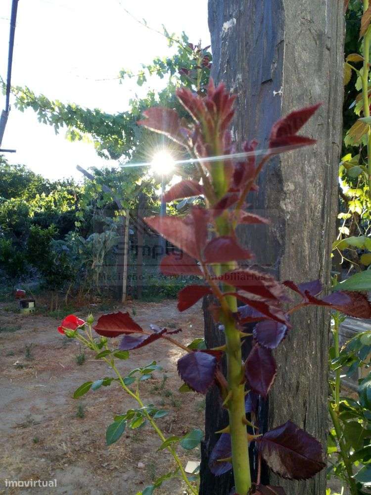 Moradia Mondim da Beira - Viseu-49