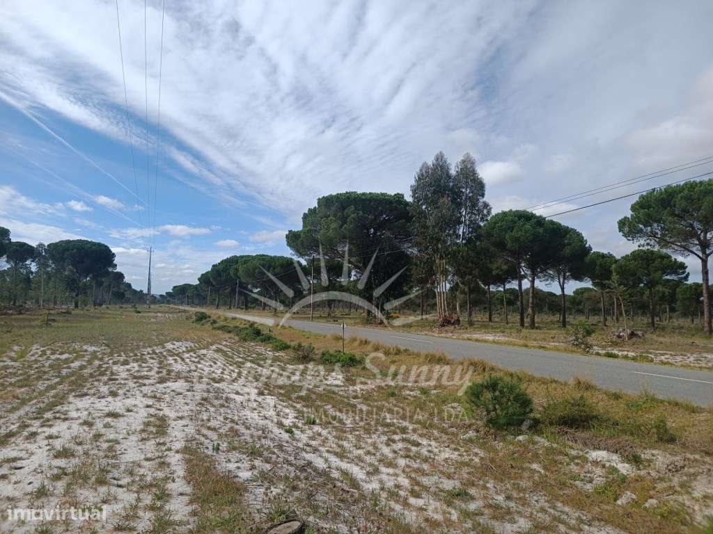 Herdade Bicas - Comporta-11