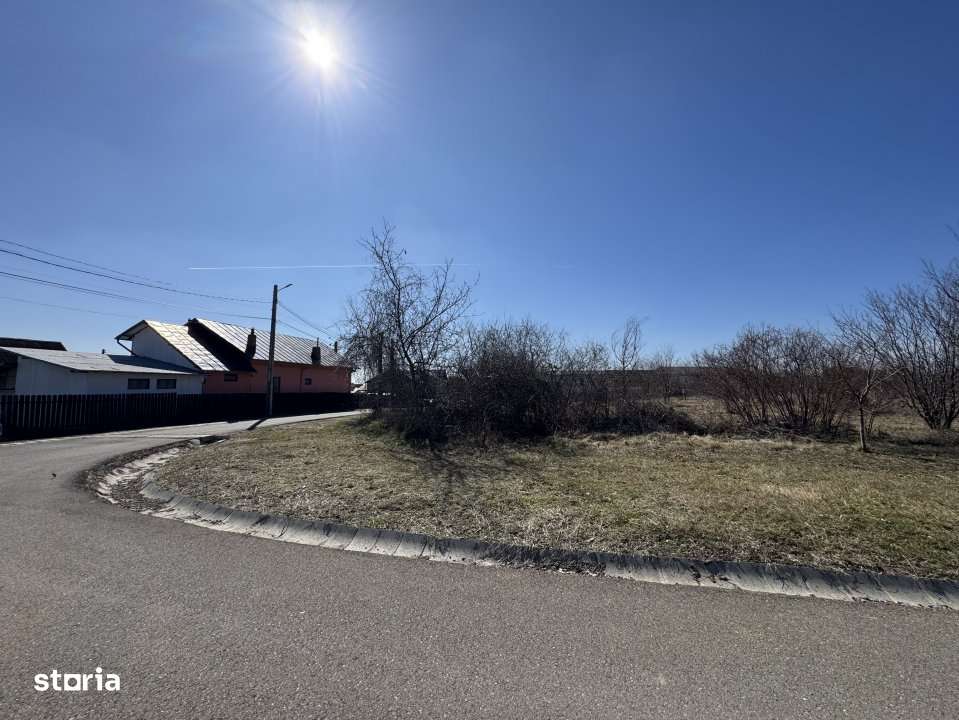 Cel mai bun teren din Paulesti-3
