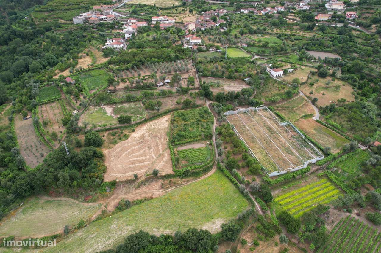 Quinta em Miomães, Resende | Um refúgio rural com cerca de 4 hectares-14