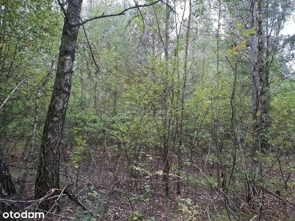 Działka, 14 200 m², Uhowo - Pełny obrazek: 4/4