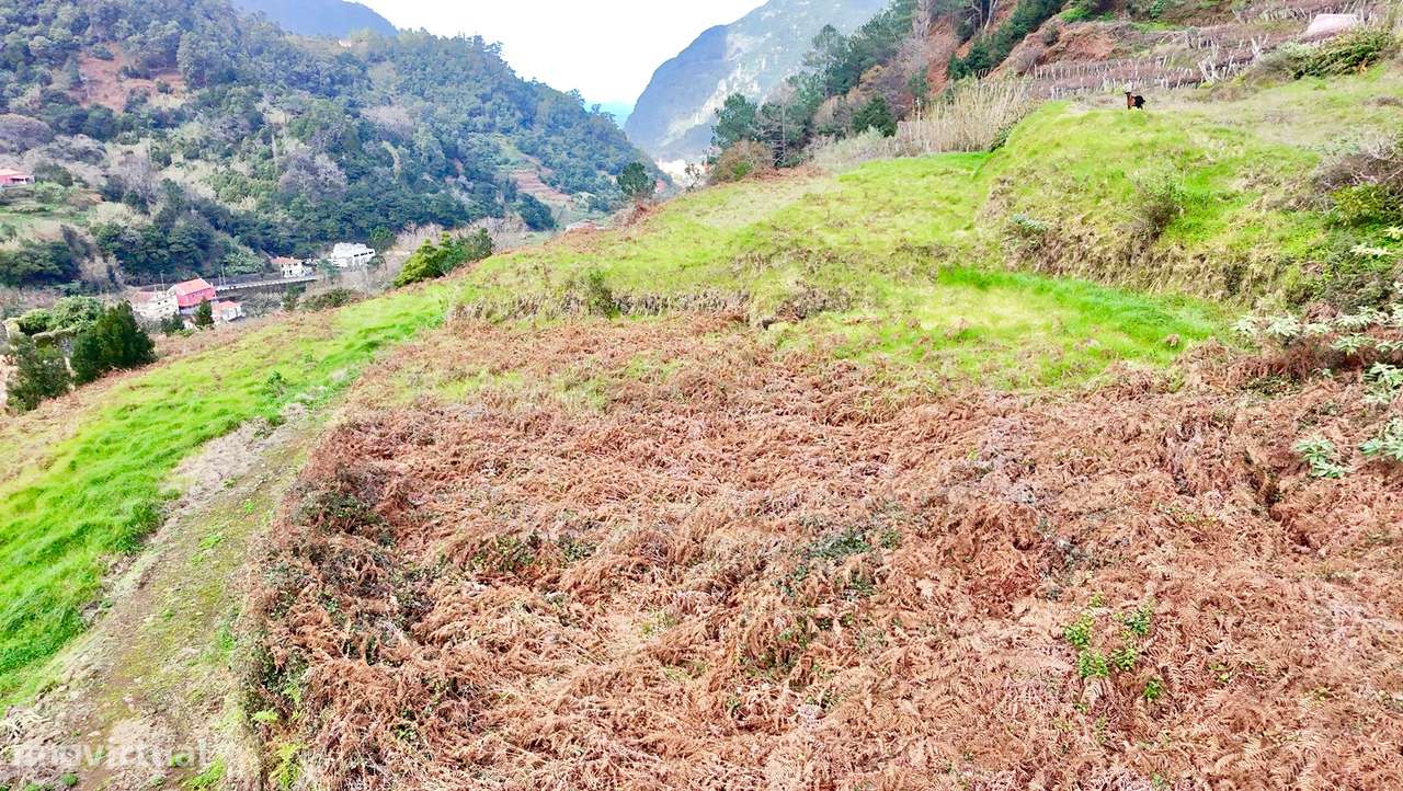 Construa a Sua Casa em São Vicente – Natureza, Tranquilidade e Potenci - Grande imagem: 2/8