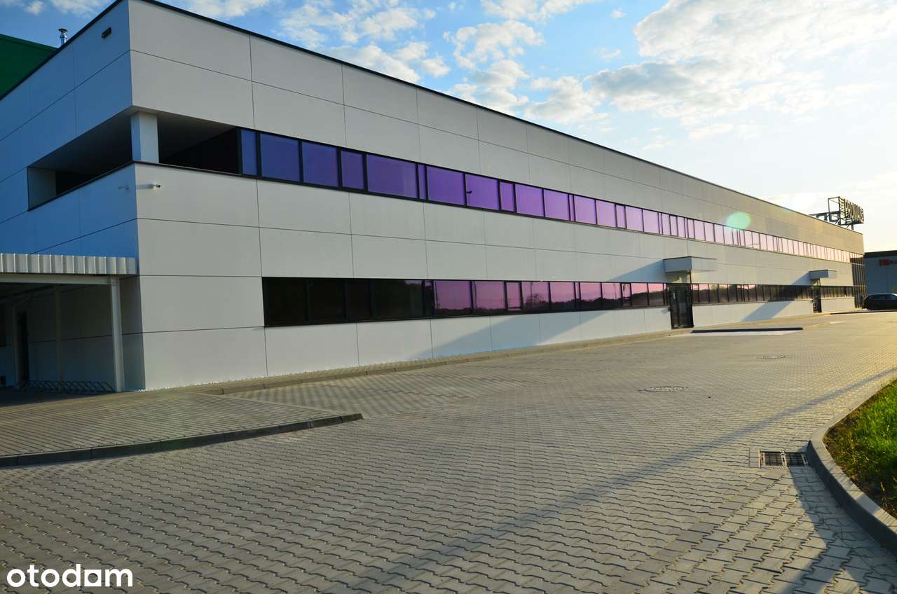 Magazyn od 1 350 m² |Poznań / S11 /A2 | 9,4 m | BREEAM | Klasa A - Pełny obrazek: 5/12