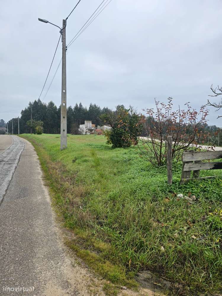 Quintinha 1350m2 - Almeirim - Fazendas de Almeirim-7