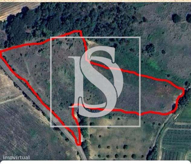 Terreno Rústico com 17.480m2 em Lamarosa - Grande imagem: 5/8