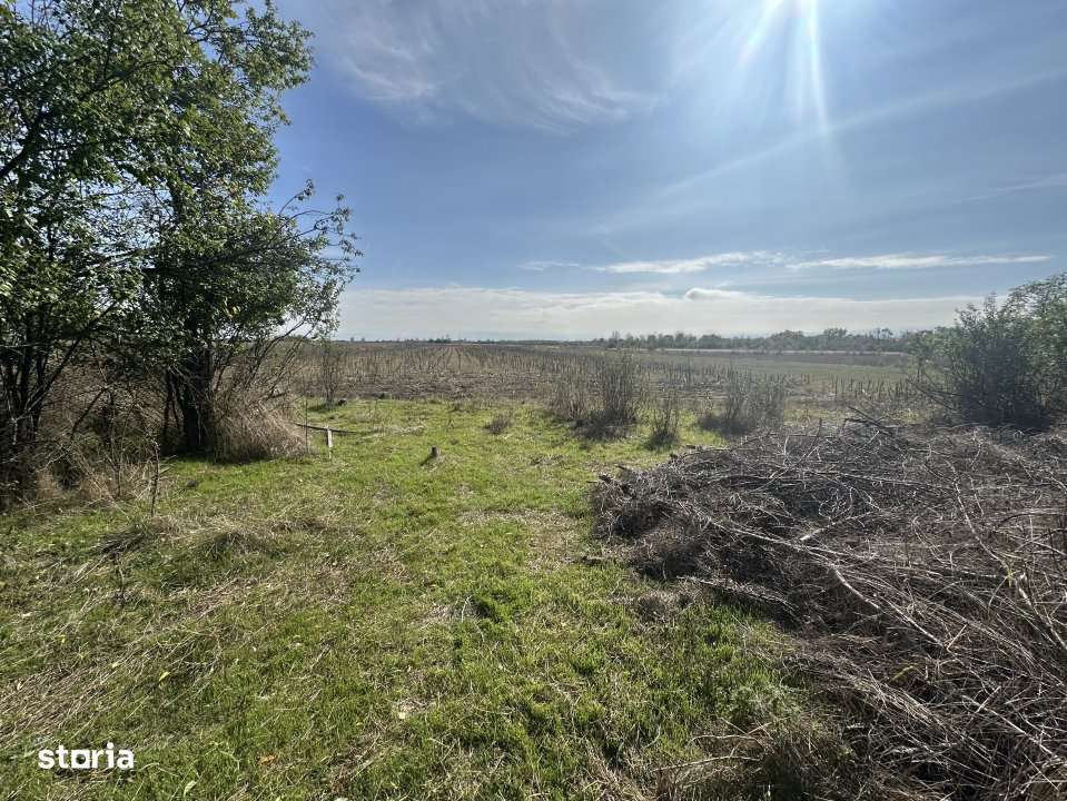 Teren 5216 mp la 2 pasi de autostrada A1 - com. Ratesti - Imagine principală: 4/10