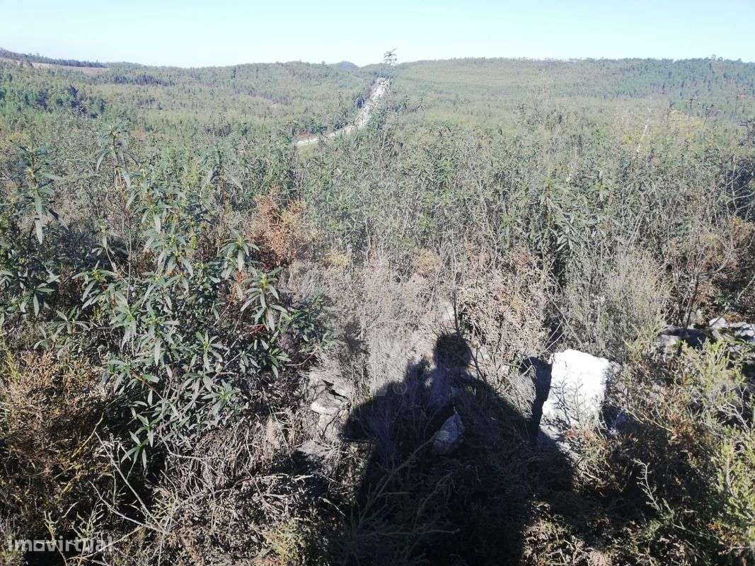 Terreno  para venda - Grande imagem: 5/6