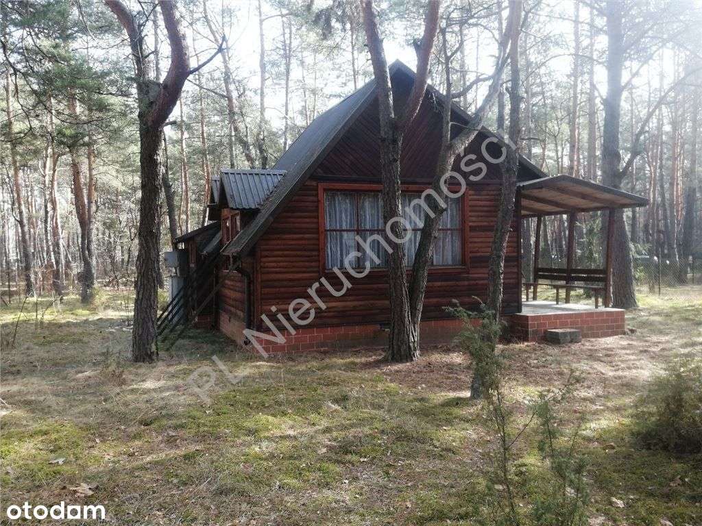 Dom letniskowy wśród lasów w gminie Dobre-10