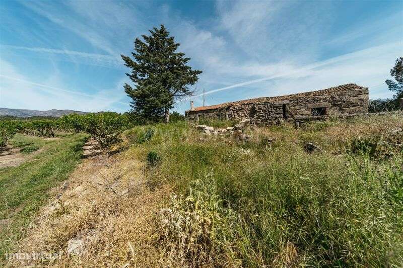 Quintinha T5 / Covilhã, Teixoso-11