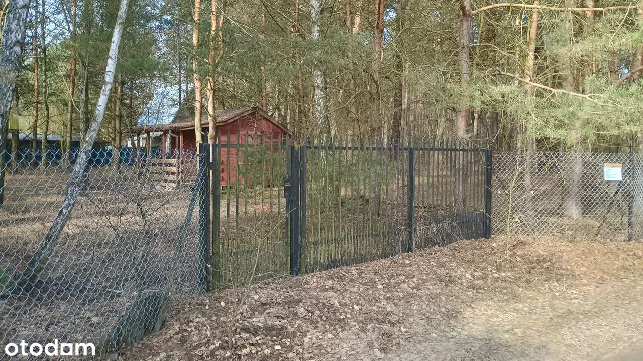 Działka budowlana w malowniczej okolicy