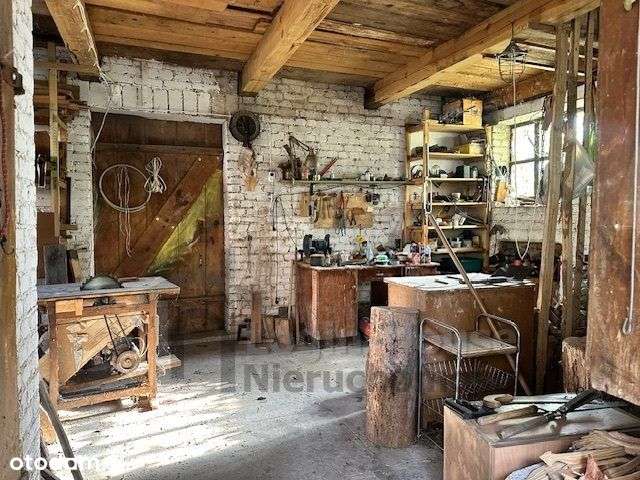 Na odludziu- dom pod lasem-4