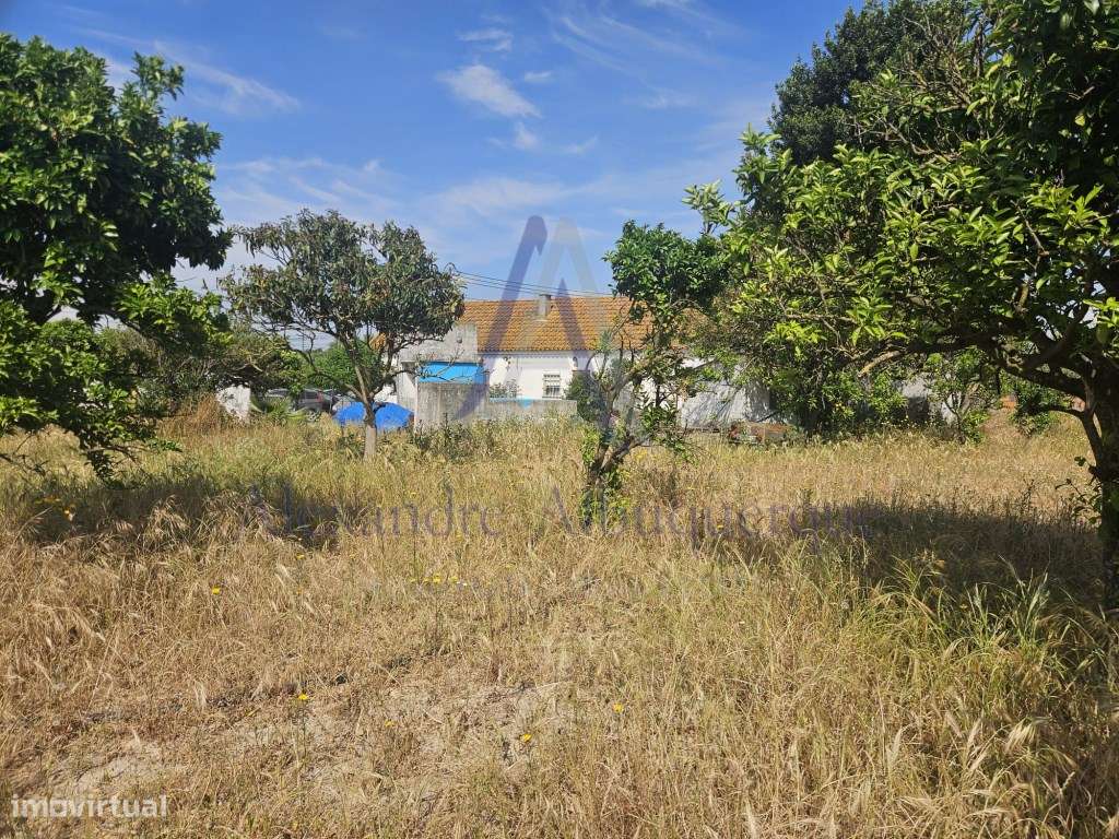 Quinta com 3 Habitações | Pinhal Novo | Terreno 5.400 m²-12