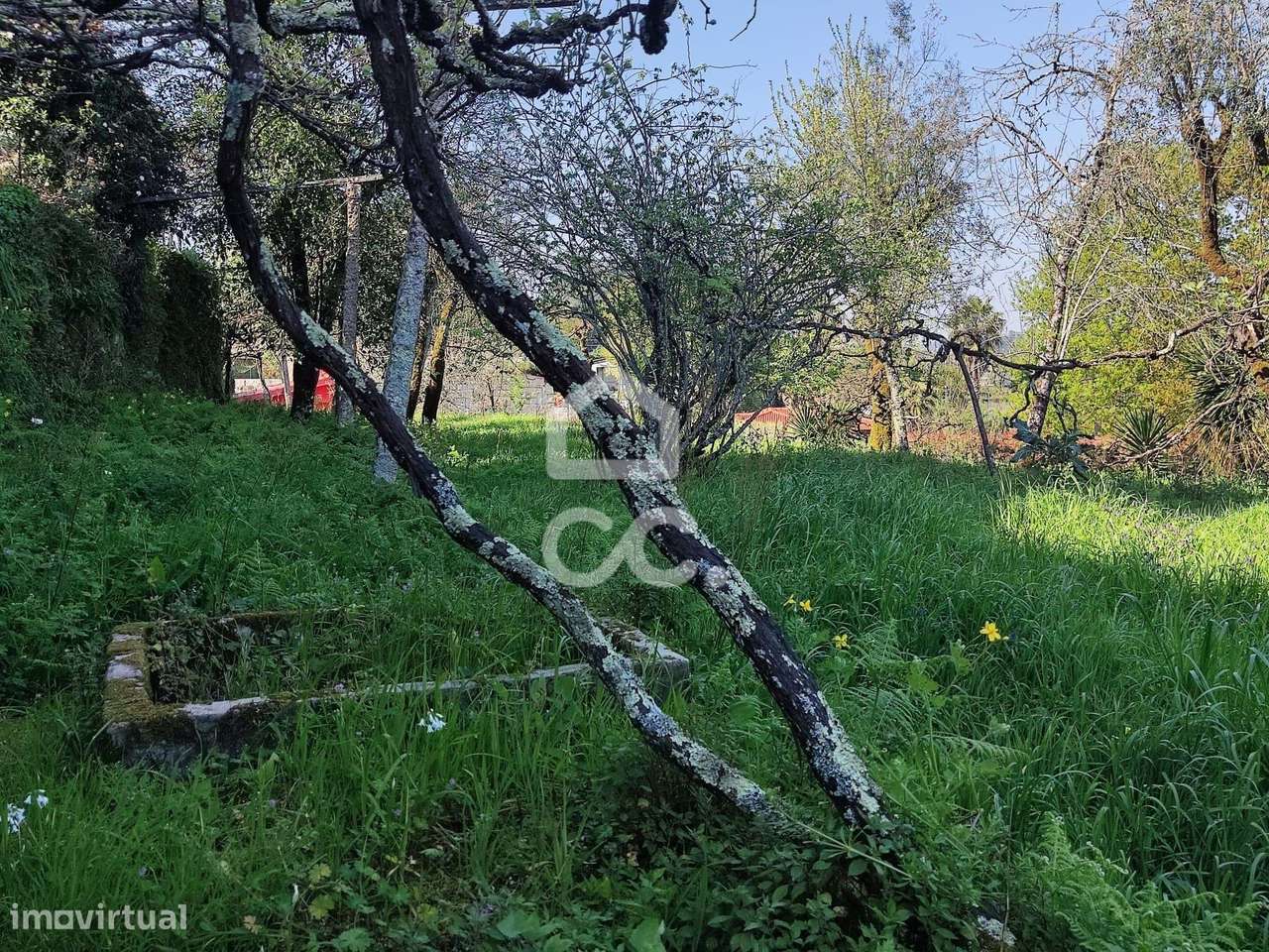 Quinta, Termas de São Vicente, Penafiel-4