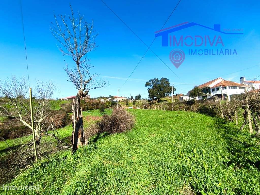 Quinta com mais de um héctar de terreno, em Graça, Pedrogão Grande-16