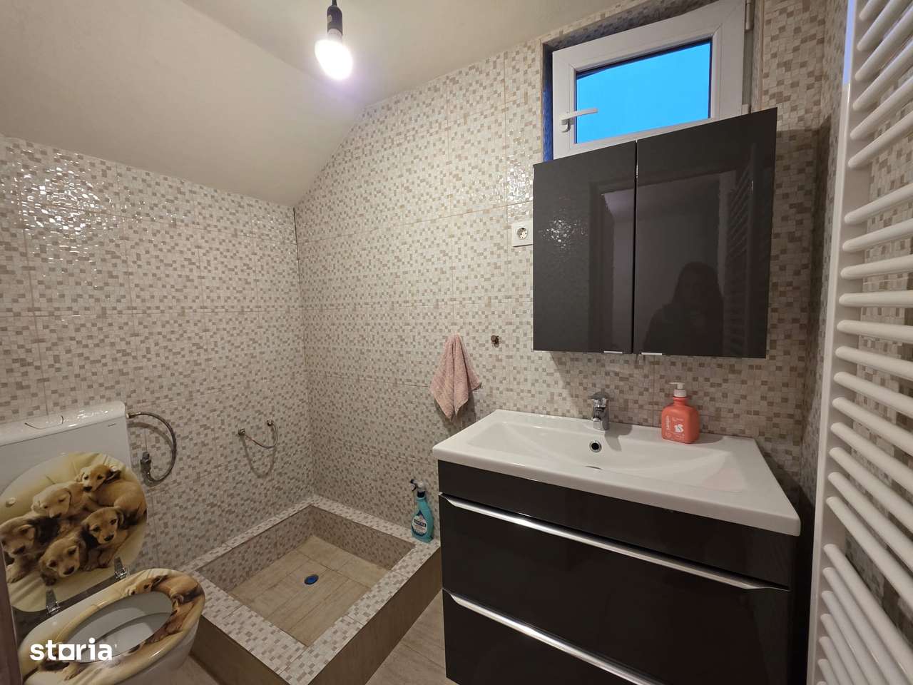 Casă de vânzare în Bârșău, comuna Hărău – la doar 15 km de Mun Deva-13