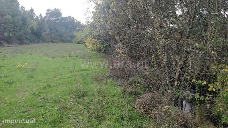 Terreno Rústico / Fundão, Póvoa da Atalaia - Grande imagem: 5/20