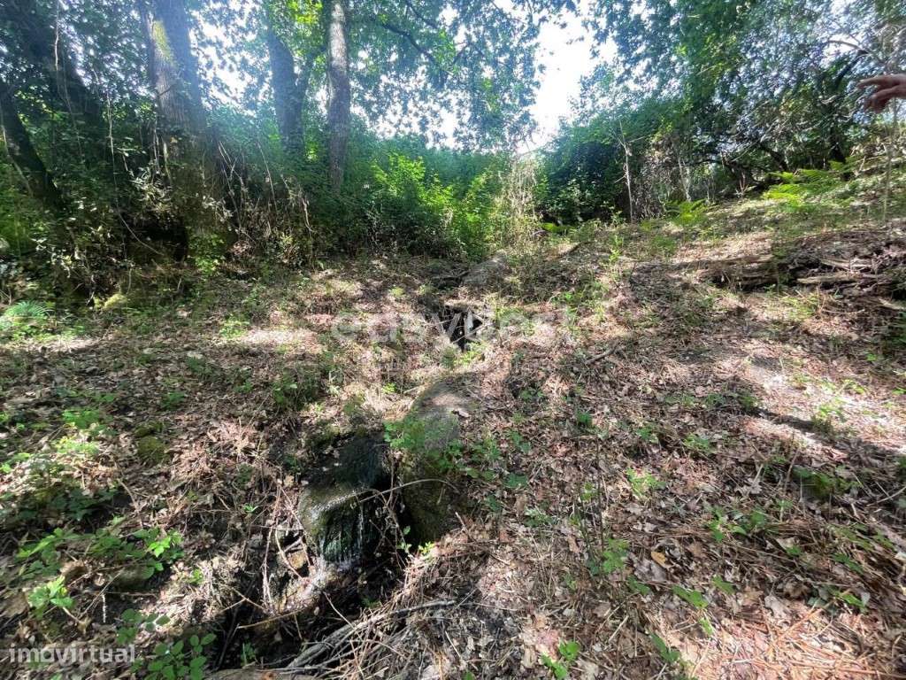 Terreno destinado a construção, localizado em Coutos de Viseu - Grande imagem: 5/22