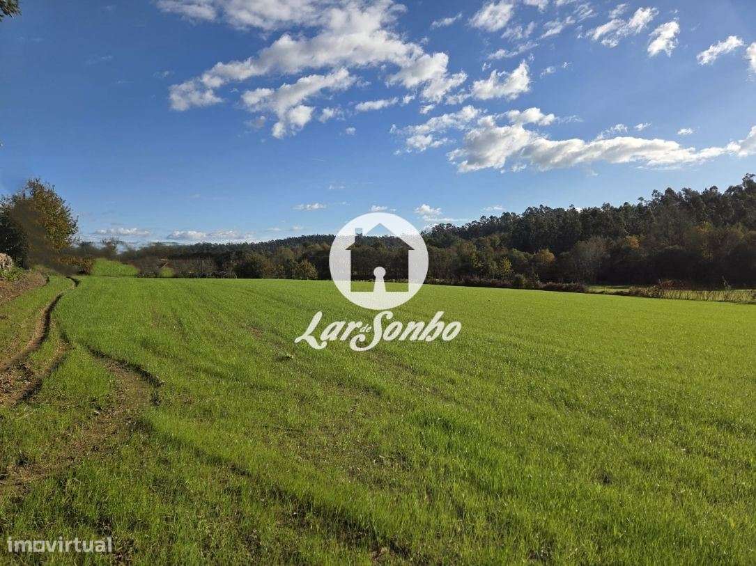 Quinta em Barcelos - Grande imagem: 2/29