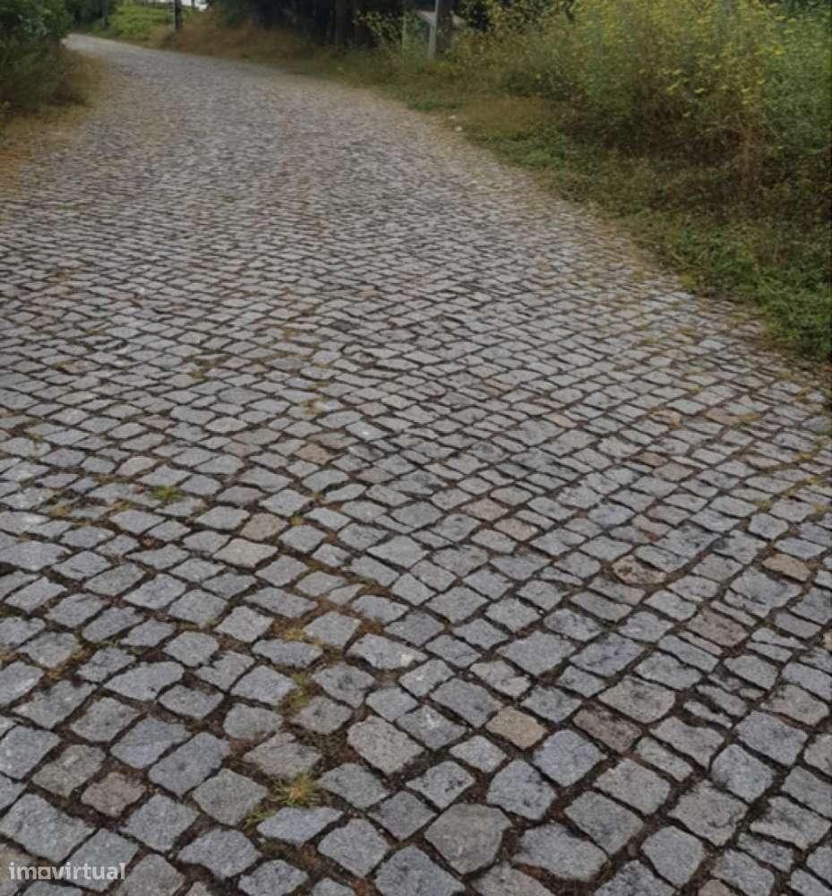 Terreno Rustico 5787 m2 - Grande imagem: 5/5