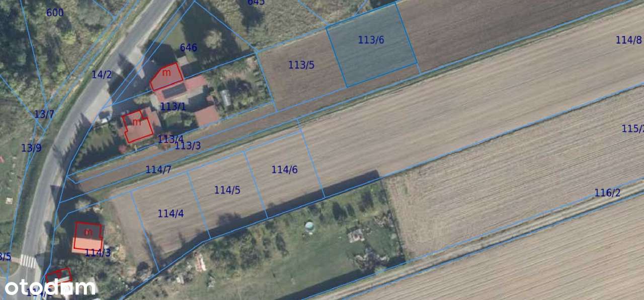 Działka budowlana 706 m2 - Krzycko Wielkie - Pełny obrazek: 5/5