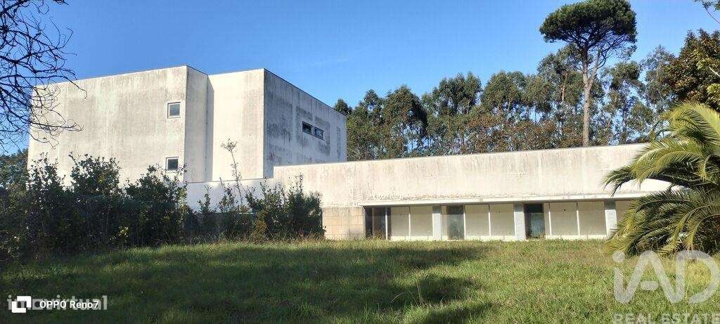 Prédio em Árvore de 1735 m2 - Grande imagem: 5/40