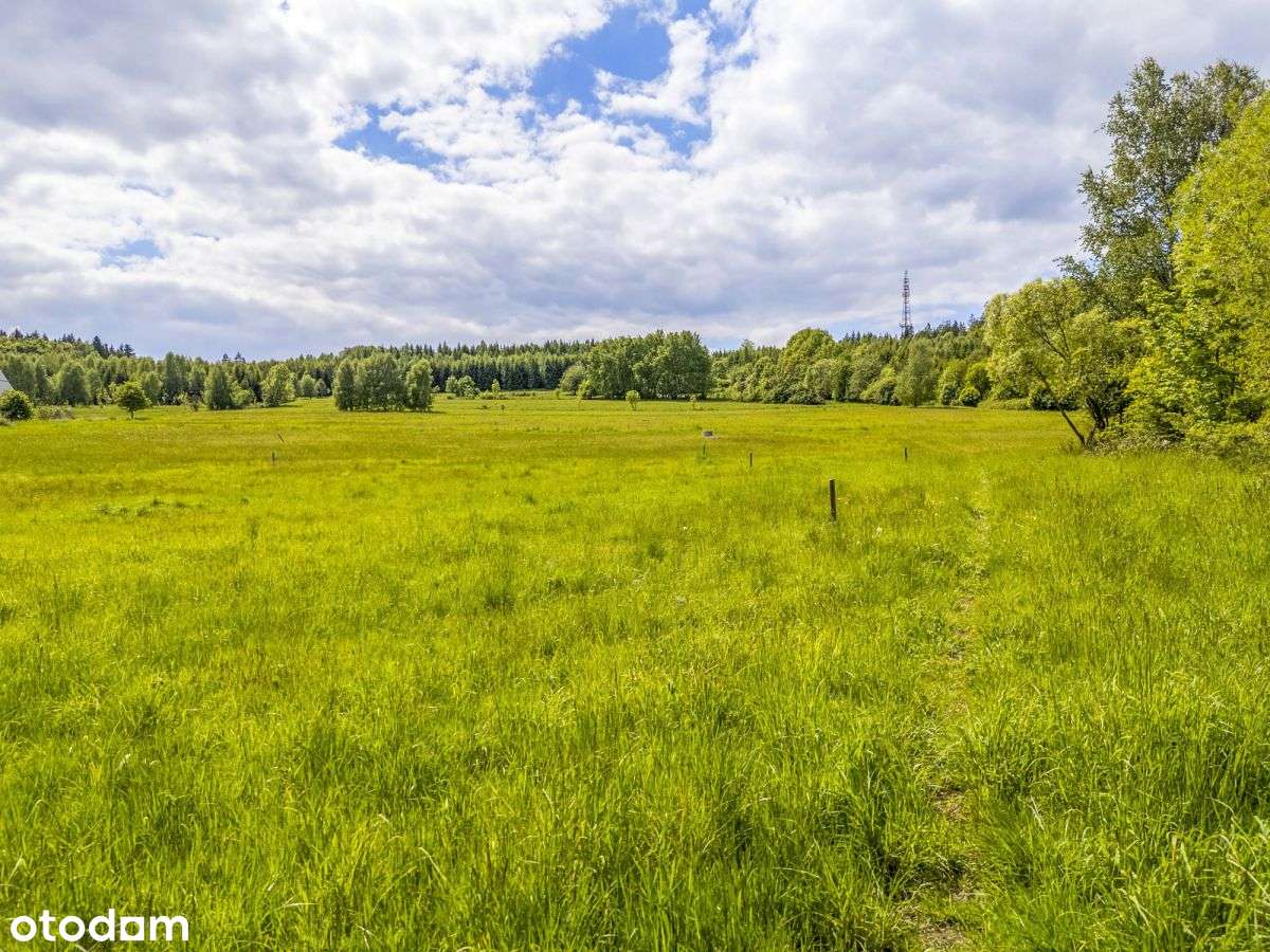 Działka z Mpzp w górach! 1713 m² na dom/inwestycję-3