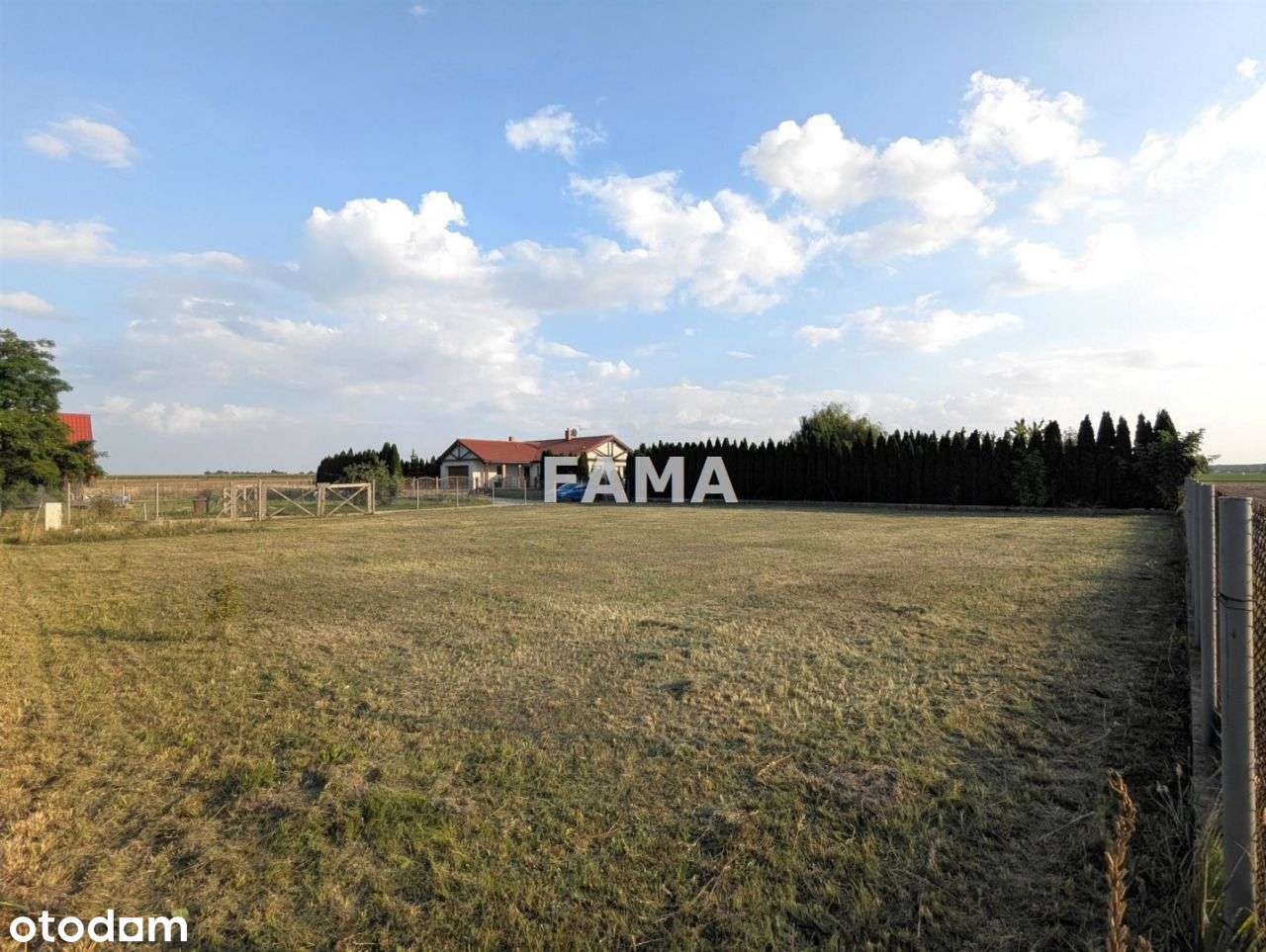 Budowlana, 1000 m2, ogrodzona, woda, prąd - Pełny obrazek: 4/12
