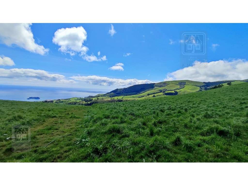 VENDA de TERRENO/PRÉDIO RÚSTICO - Freguesia de São Miguel, Vila Fra... - Grande imagem: 4/19